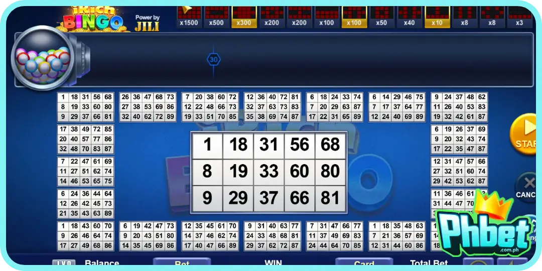 Bingo